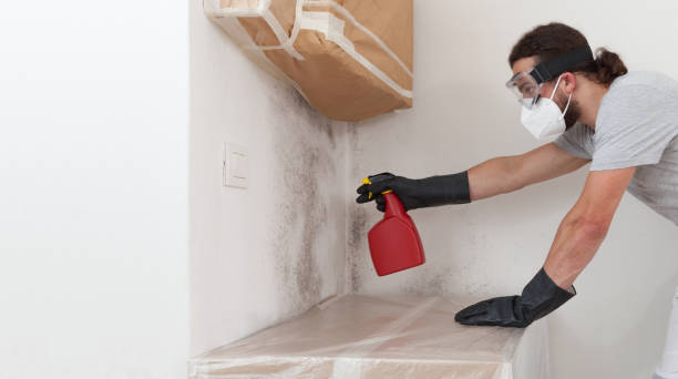 Professional Mold Removal technician working in Lehigh Acres, FL